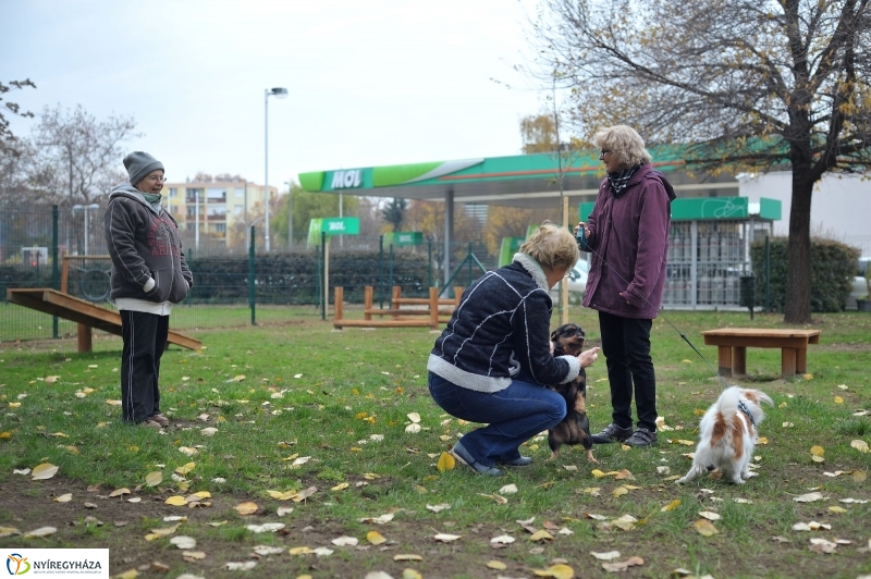 Kutyafuttató átadás a Széna téren - fotó Szarka Lajos