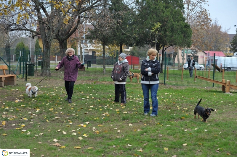 Kutyafuttató átadás a Széna téren - fotó Szarka Lajos