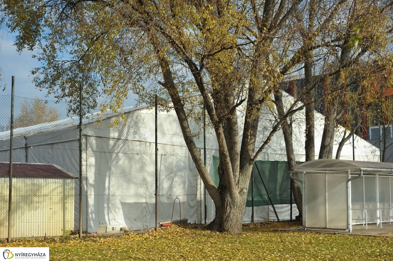 Elkezdődött a beruházás a Szegfű utcán - fotó Szarka Lajos