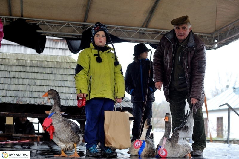 Márton-napi vigasság - fotó Szarka Lajos