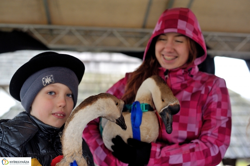 Márton-napi vigasság - fotó Szarka Lajos