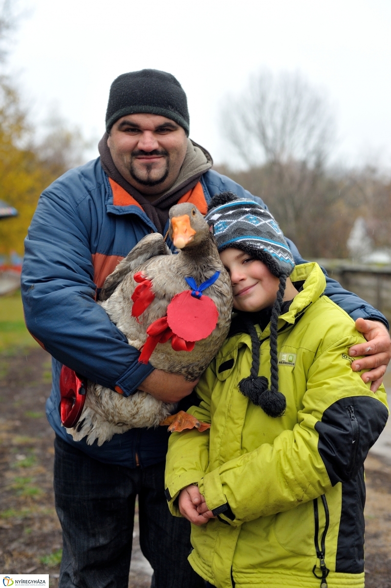 Márton-napi vigasság - fotó Szarka Lajos