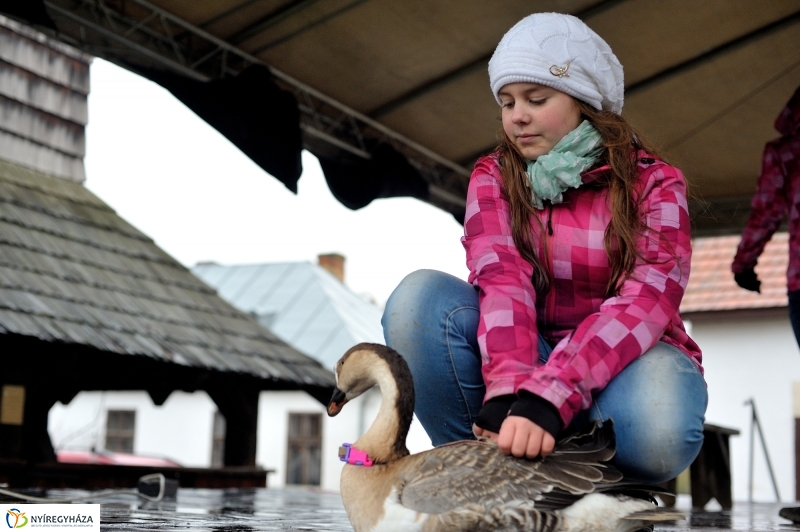 Márton-napi vigasság - fotó Szarka Lajos