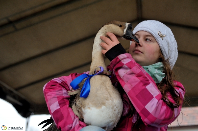 Márton-napi vigasság - fotó Szarka Lajos