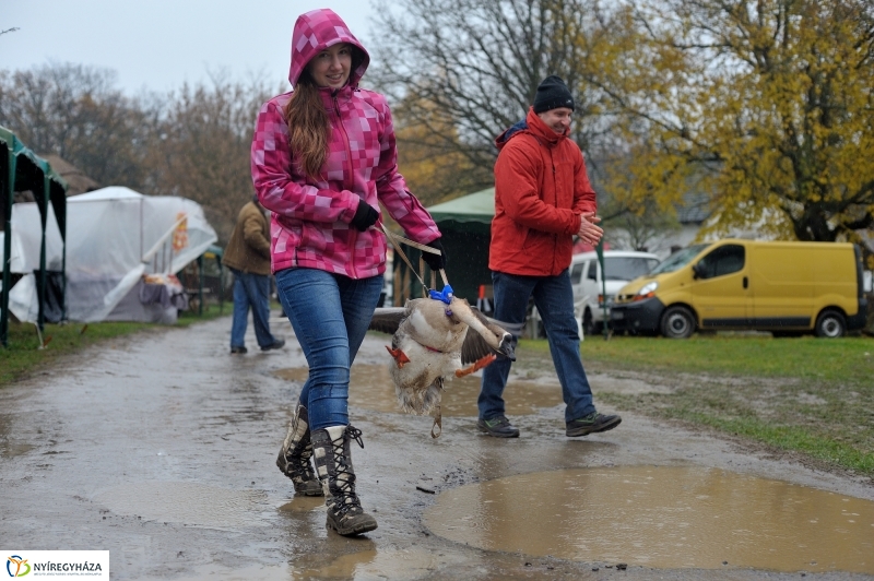 Márton-napi vigasság - fotó Szarka Lajos