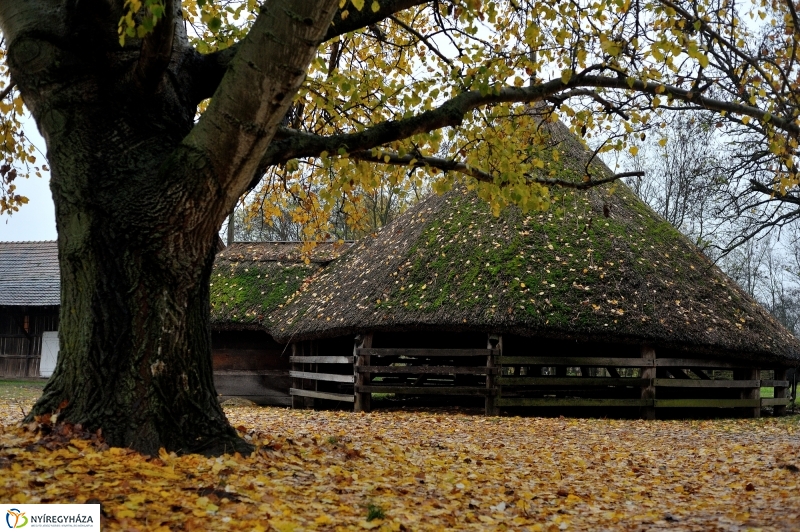 Márton-napi vigasság - fotó Szarka Lajos
