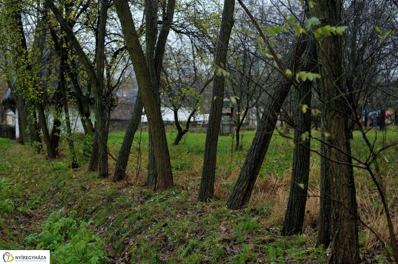 Márton-napi vigasság - fotó Szarka Lajos