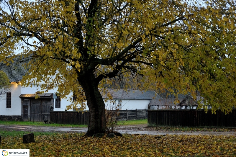 Márton-napi vigasság - fotó Szarka Lajos