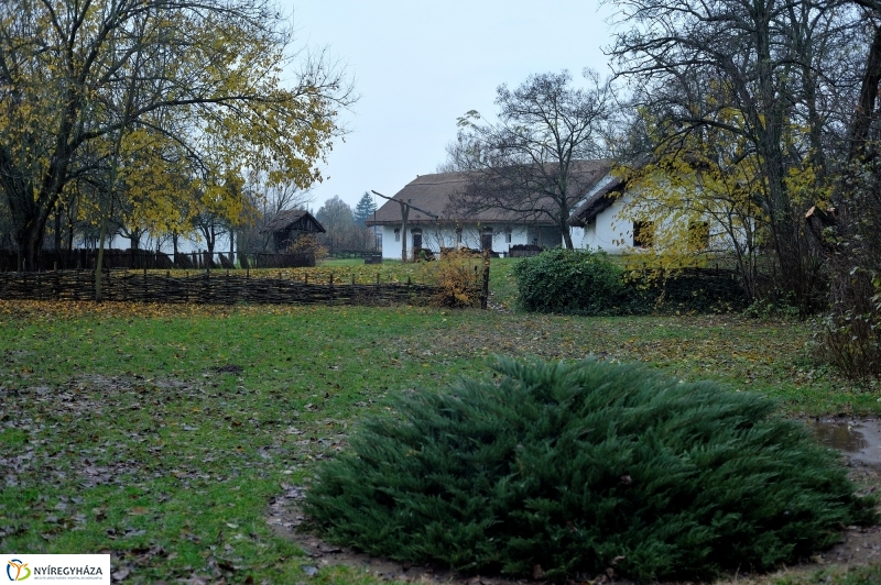 Márton-napi vigasság - fotó Szarka Lajos