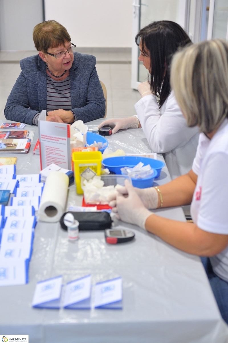 Diabétesz Világnap 2016 - fotó Szarka Lajos