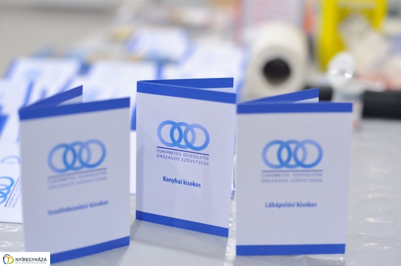 Diabétesz Világnap 2016 - fotó Szarka Lajos