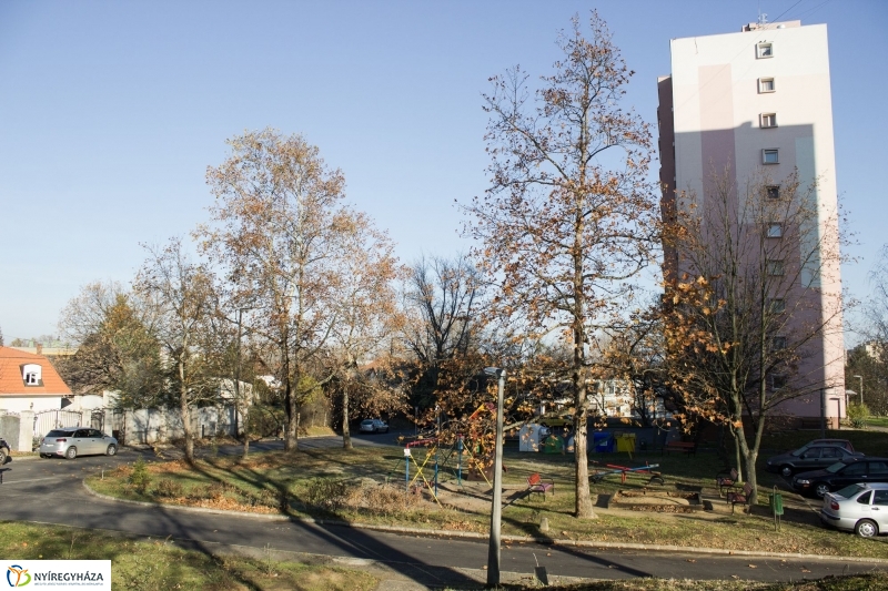 Új aszfalt a Kodály Zoltán utcán - fotó Szarka Lajos