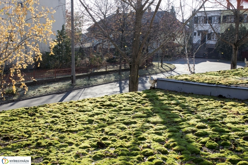 Új aszfalt a Kodály Zoltán utcán - fotó Szarka Lajos