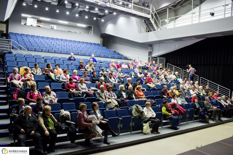 Öregedés Művészete 20161116 - fotó Szarka Lajos