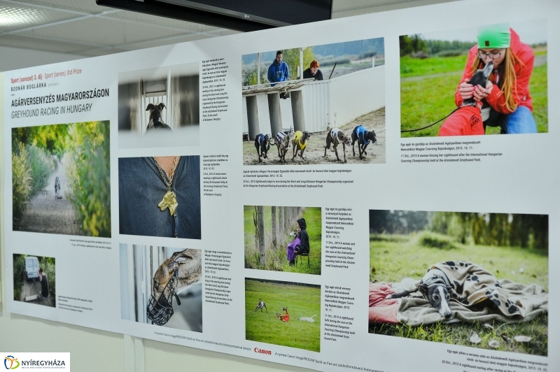 Magyar sajtófotó kiállítás Nyíregyházán - fotó Szarka Lajos