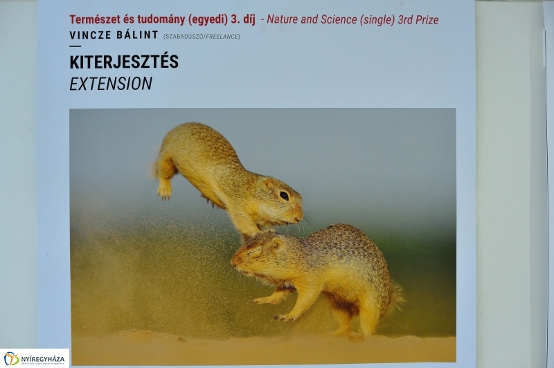 Magyar sajtófotó kiállítás Nyíregyházán - fotó Szarka Lajos