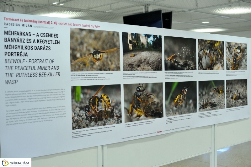Magyar sajtófotó kiállítás Nyíregyházán - fotó Szarka Lajos