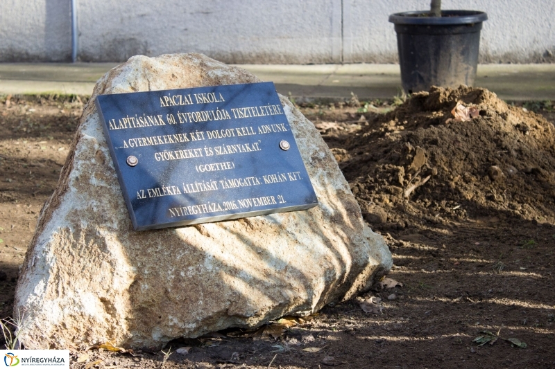 Emlékfa ültetés az Apáczai iskolában - fotó Szarka Lajos