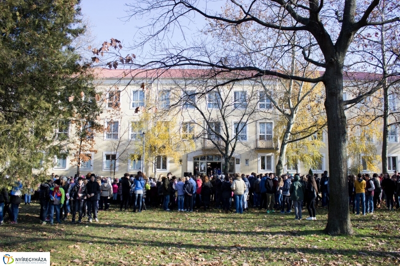 Emlékfa ültetés az Apáczai iskolában - fotó Szarka Lajos