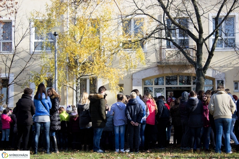 Emlékfa ültetés az Apáczai iskolában - fotó Szarka Lajos