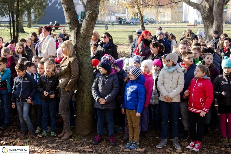 Emlékfa ültetés az Apáczai iskolában - fotó Szarka Lajos