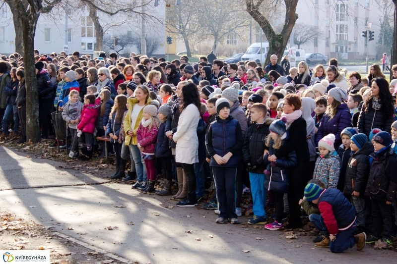 Emlékfa ültetés az Apáczai iskolában - fotó Szarka Lajos