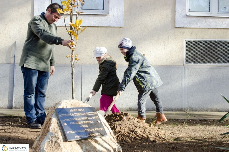 Emlékfa ültetés az Apáczai iskolában - fotó Szarka Lajos