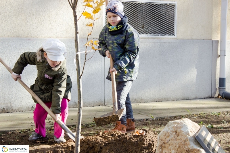 Emlékfa ültetés az Apáczai iskolában - fotó Szarka Lajos