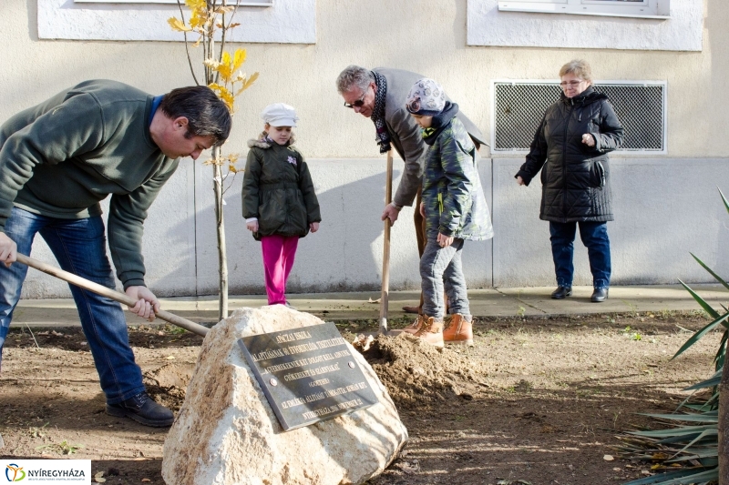 Emlékfa ültetés az Apáczai iskolában - fotó Szarka Lajos
