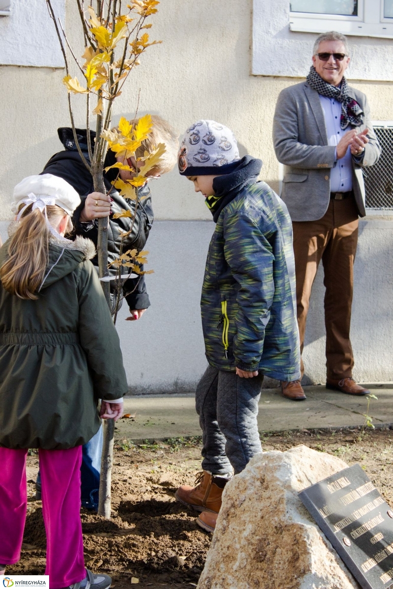 Emlékfa ültetés az Apáczai iskolában - fotó Szarka Lajos
