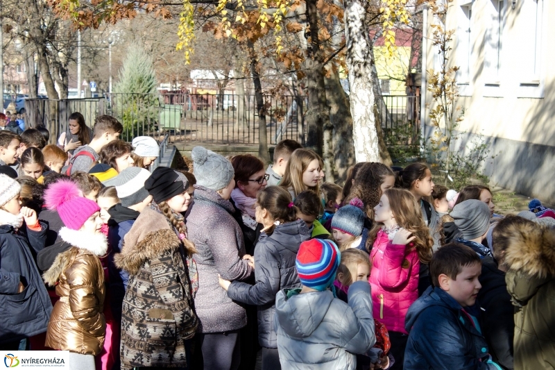 Emlékfa ültetés az Apáczai iskolában - fotó Szarka Lajos