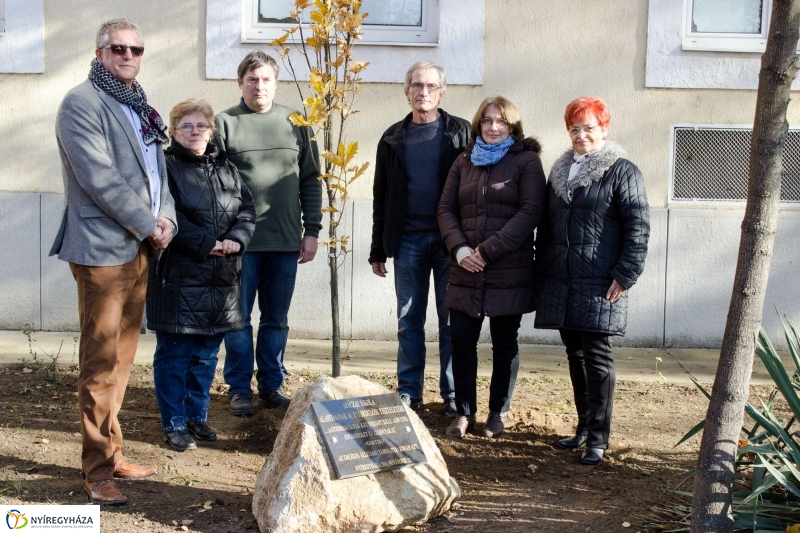 Emlékfa ültetés az Apáczai iskolában - fotó Szarka Lajos