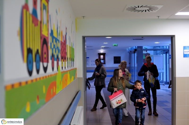 Plüssmaci Gyűjtőpont akció - fotó Szarka Lajos