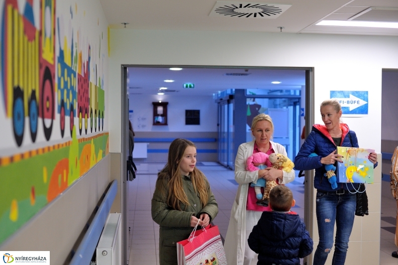 Plüssmaci Gyűjtőpont akció - fotó Szarka Lajos