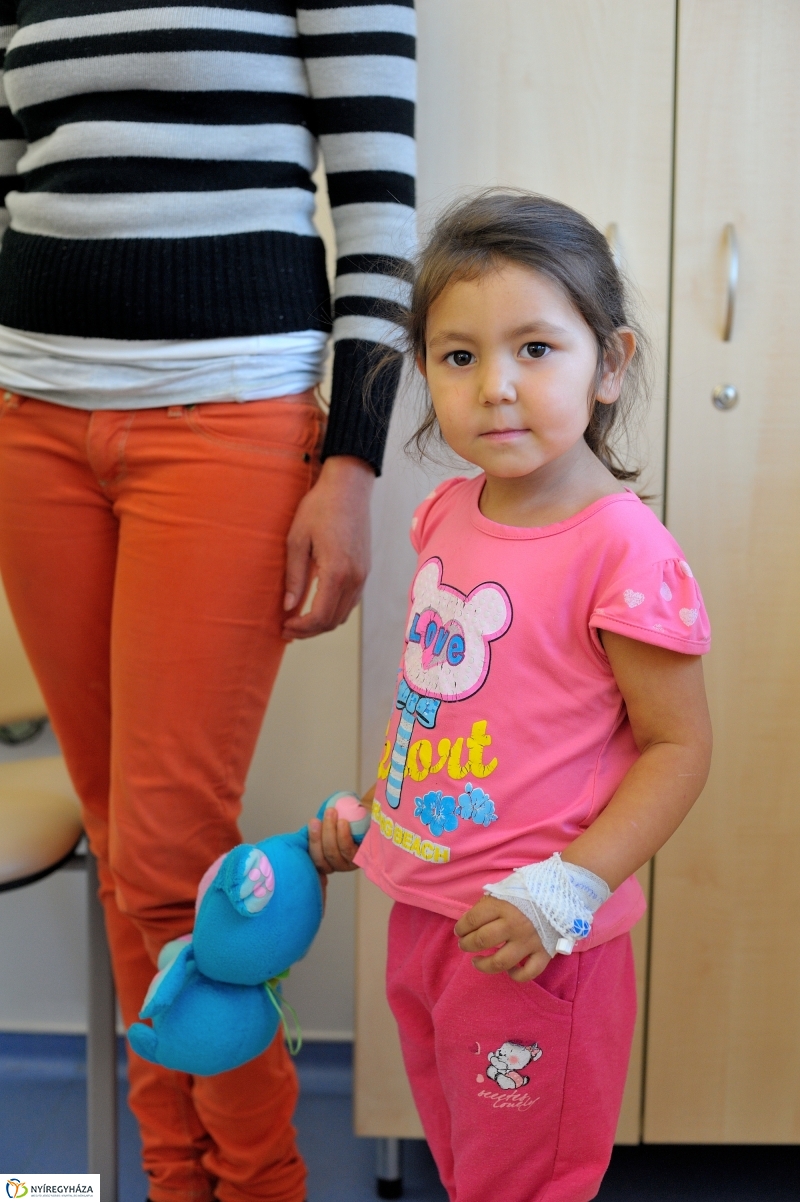 Plüssmaci Gyűjtőpont akció - fotó Szarka Lajos