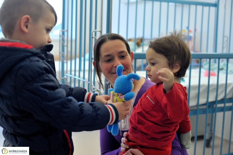 Plüssmaci Gyűjtőpont akció - fotó Szarka Lajos