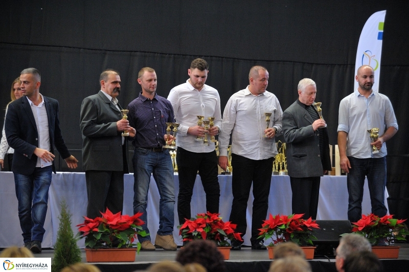 Városi Sportgála 2016 II - fotó Szarka Lajos
