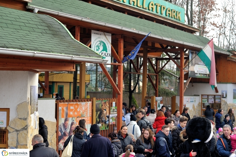 100 forintos nap az Állatparkban - fotó Szarka Lajos