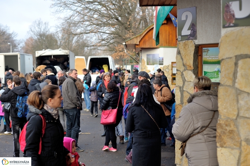 100 forintos nap az Állatparkban - fotó Szarka Lajos