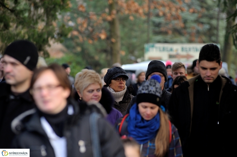 100 forintos nap az Állatparkban - fotó Szarka Lajos