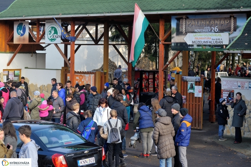 100 forintos nap az Állatparkban - fotó Szarka Lajos