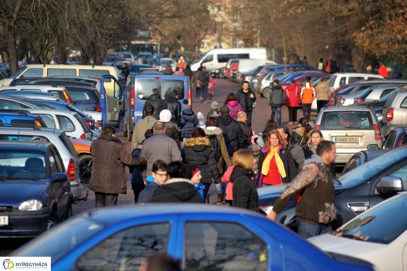 100 forintos nap az Állatparkban - fotó Szarka Lajos