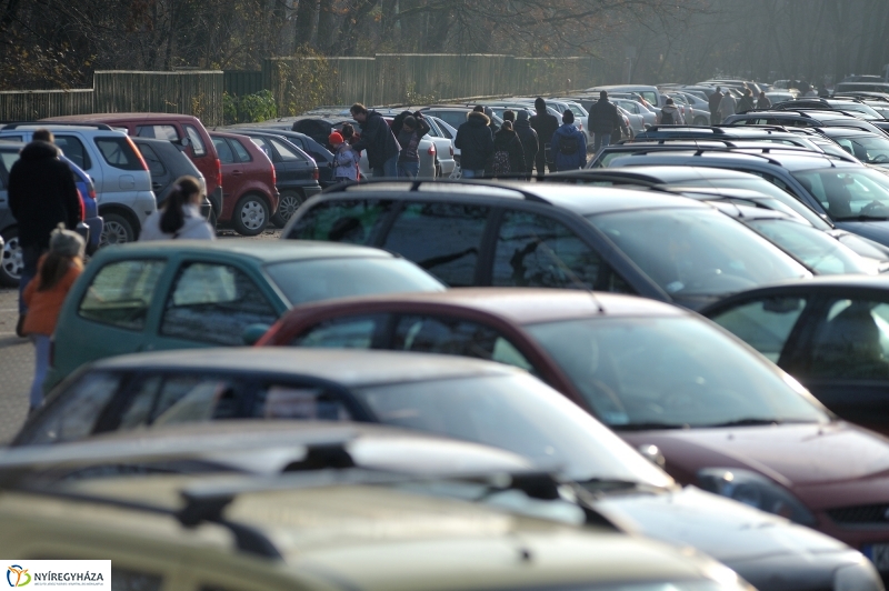 100 forintos nap az Állatparkban - fotó Szarka Lajos