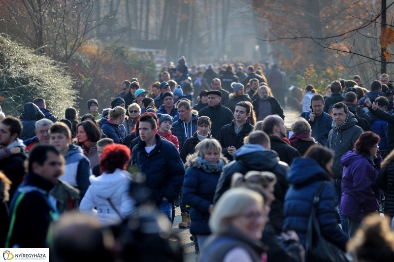 100 forintos nap az Állatparkban - fotó Szarka Lajos