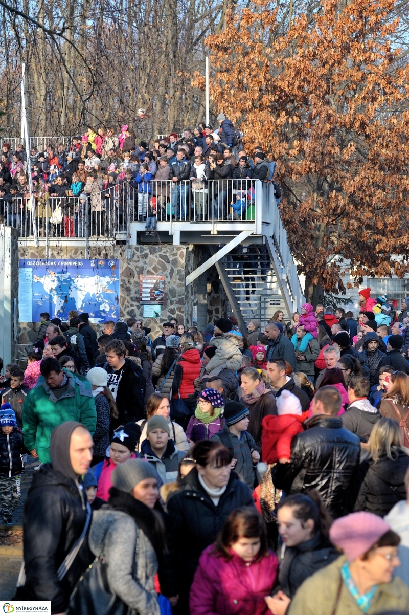 100 forintos nap az Állatparkban - fotó Szarka Lajos