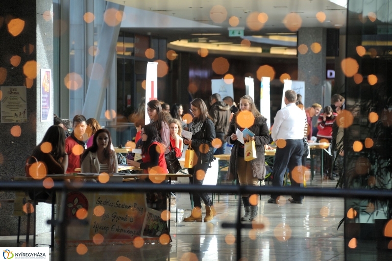 Közösségi szolgálat börze - fotó Szarka Lajos