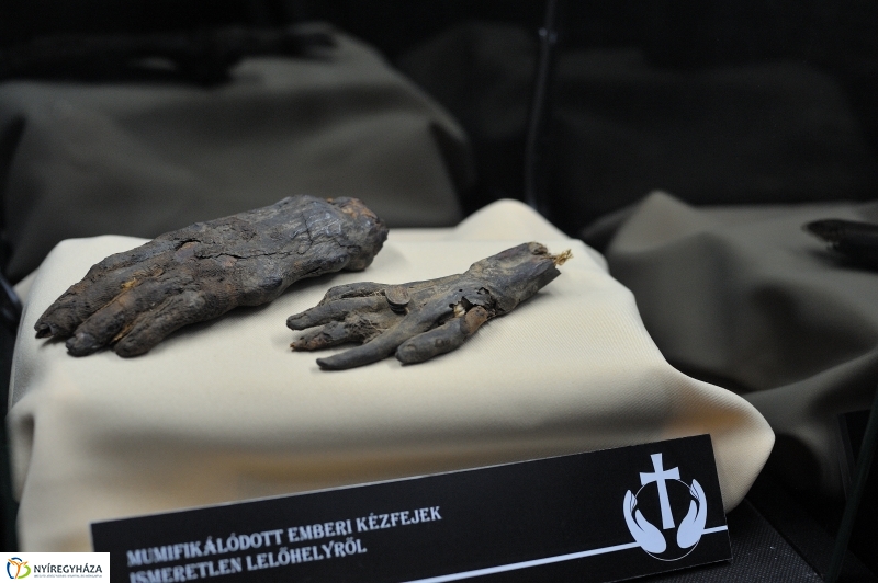 Ünnepel a múzeum - fotó Szarka Lajos