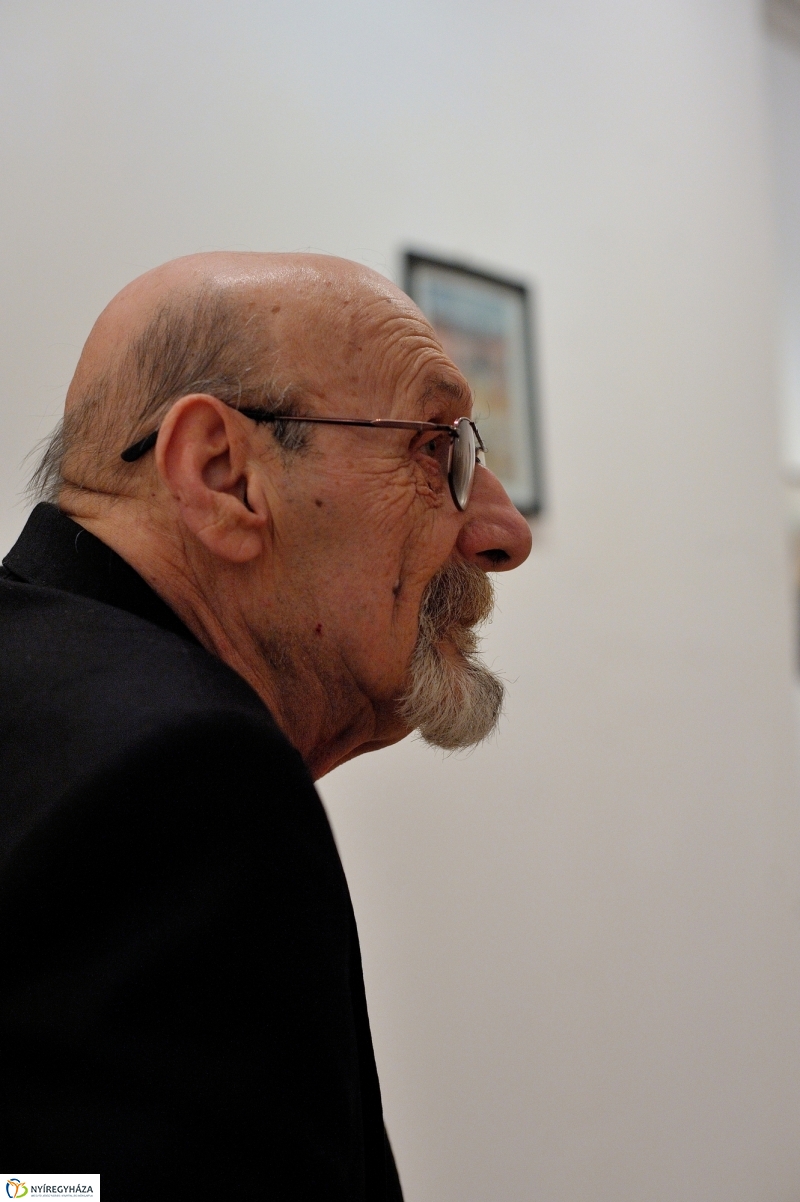 Botrágyi Károly kiállítása - fotó Szarka Lajos