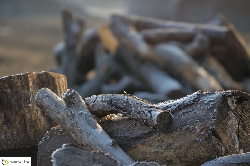 Tüzifa rászorulóknak - fotó Szarka Lajos