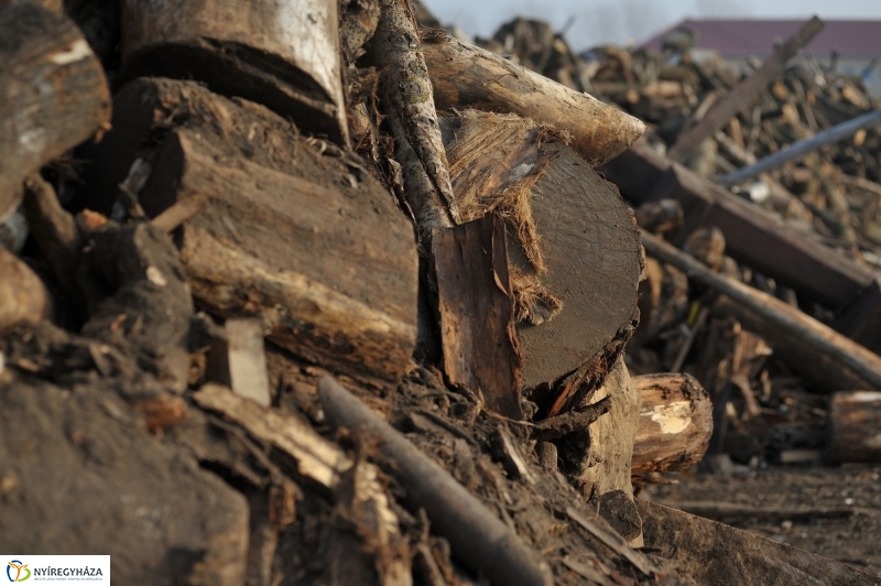 Tüzifa rászorulóknak - fotó Szarka Lajos